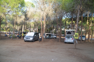resize_DSC_0062.JPG