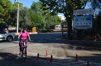 resize_DSC_0513.JPG